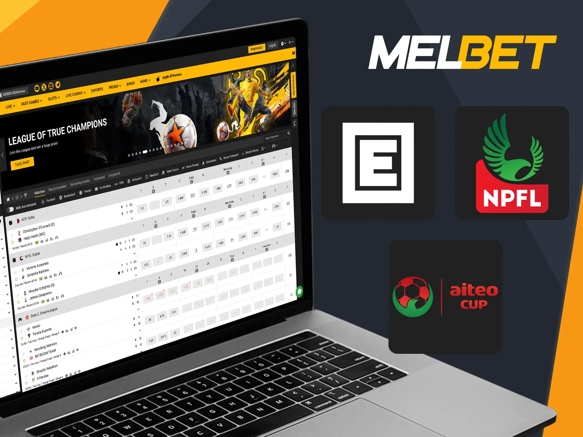 Melbet provides sponsorship and support for a wide variety of sporting competitions.